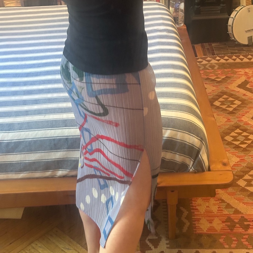 RARE Issey Miyake Sheer Multicolor Skirt